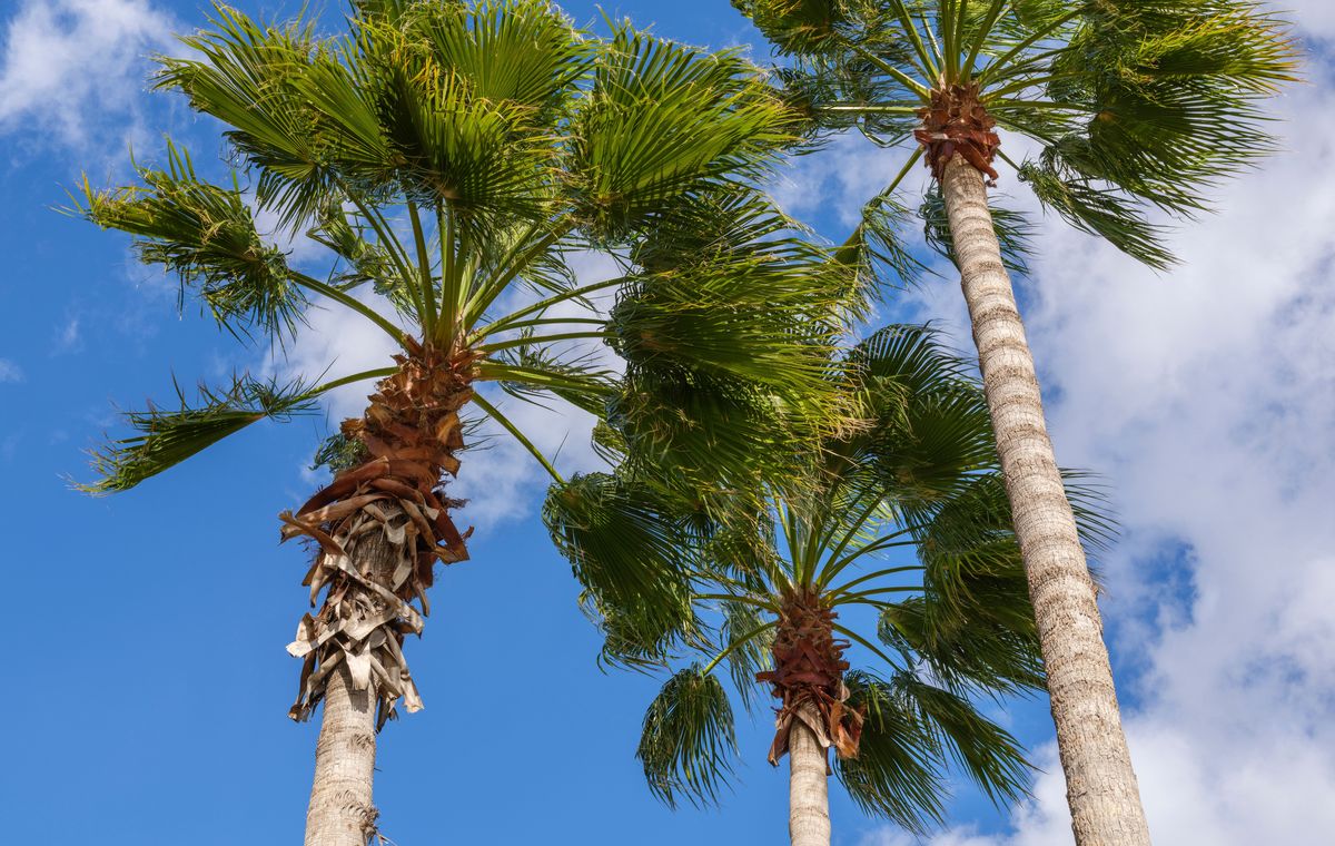 How to Plan a Vacation That Both Parents Actually Enjoy